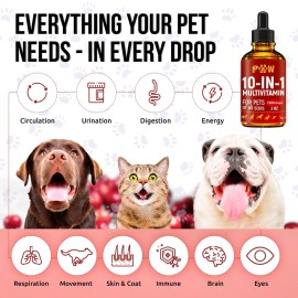 GoldenPaw Liquid Multivitamin for Dogs & Cats | Glucosamine, Joints, Skin, UTI | 2 Oz