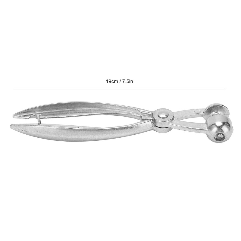 Olive Pitter Small and Lightweight Cherry Pitter Tool for Nuclear
