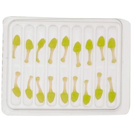 Berkley PBHIDG.75-CH Power Bait Ice Dog Bone Baits