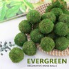 LOBUJOU 6pcs Moss Balls Decorative Faux Green Dried Artificial Moss