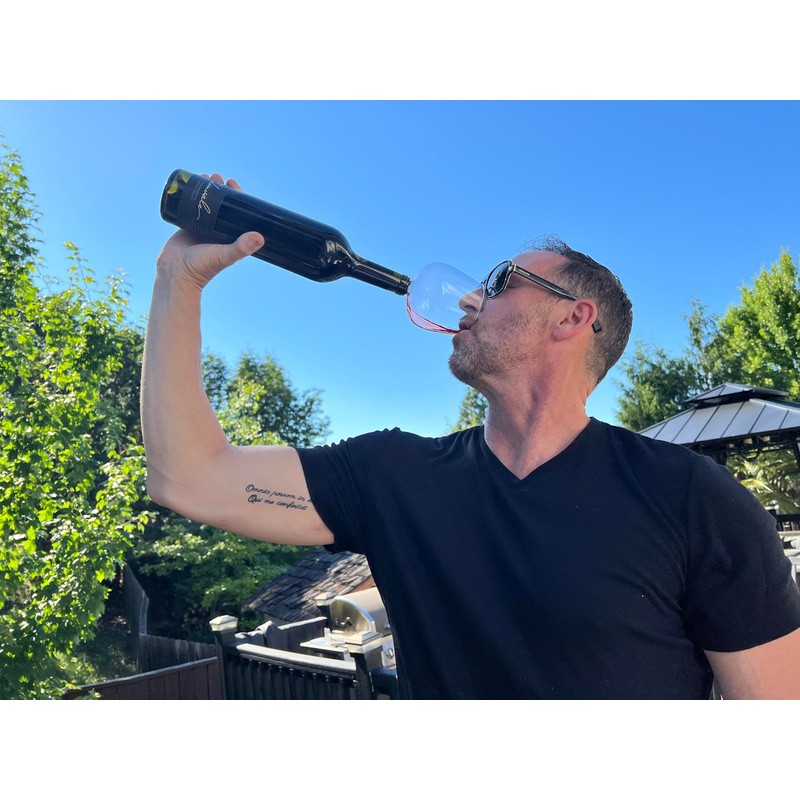 Guzzle Buddy 2GO Unbreakable Tritan Plastic 16 Ounce Wine Glass,