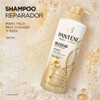 Pantene PRO-V Science Shampoo Molecular Bond Repair para Cabello muy