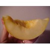 PACOS CANTALOUPE SWEETEST MELON WORLD KNOWN 300 SEEDS PECOS CANTALOUPE