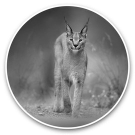 Awesome Vinyl Stickers (Set of 2) 30cm BW - Caracal African Lynx Cat Fun Decals for Laptops,Tablets,Luggage,Scrap Booking,Fridges #38978