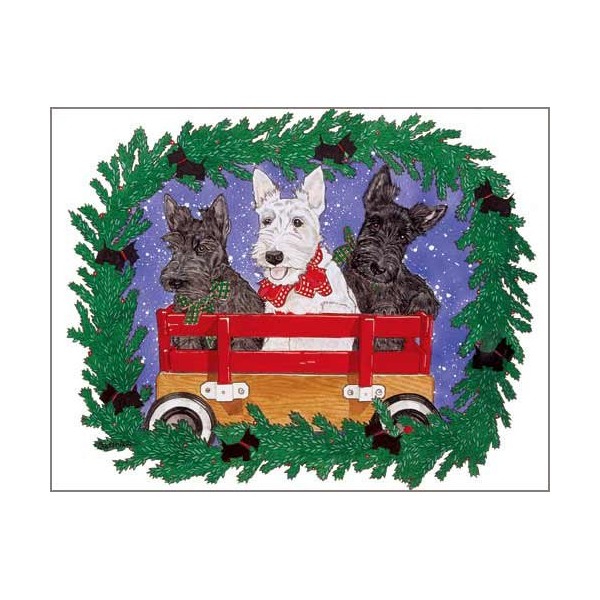 Scottish Terrier Christmas Cards : 10 Holiday Cards with Red Envelopes - Adorable!