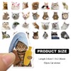 Funny Cat Stickers Set, 50Pcs Cat Stickers for Kids Adults,