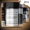 Warrior Creatine Monohydrate Powder – Micronised for Easy Mixing and