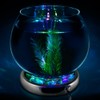 WavePoint 1237 Color Transformer LED Fish Bowl Kit, Large