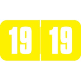 Doctor Stuff - 2019 Yellow Year Labels | Safeguard Compatible Series | Very Durable and Long-Lasting |1 Roll - 500 Lables/Roll | Size (3/4"x1-1/2")