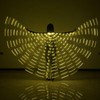 LED Lights Belly Dance Wings Bellydance Glow Angel dance Wings