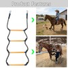 Buddy Climbing Stirrup 4 Step for Kids, Heavy Duty Nylon