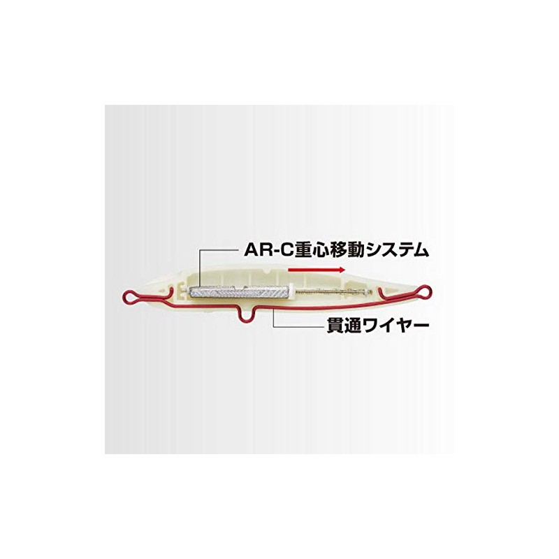 Shimano XL-210R 015 Exsense Sliding Assassin 100S X AR-C Sinking