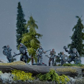 Modiphius Entertainment | The Elder Scrolls: Call to Arms | Companions | Miniature Game | Unpainted