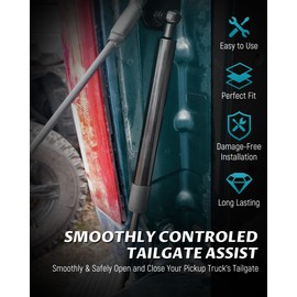 Lichamp Tailgate Assist Compatible with 1997-2003 Ford F-150, 1999-2016 Ford F250 F350 Super Duty and 2010-2016 F450 Super Duty Accessories Tailgate Lift, A203BK