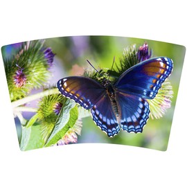 Mugzie 16 Ounce Stainless Steel Cocktail Shaker/Martini Shaker with Wetsuit Cover - Purple Butterfly