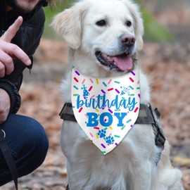 Birthday Boy Dog Birthday Bandanas for Dog Photo Prop Pet Happy Birthday Party Dog Birthday Accessories Pet Birthday Decorations