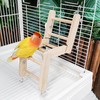 Wooden Bird Ladder - Wooden Climbing Ladder for Parrots -