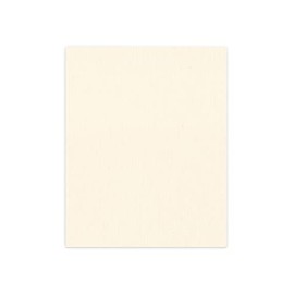 CountryArtHouse Textured Cream Acid Free 11x14 Backing Board - Uncut Photo Mat Board - 1 Sheet