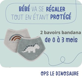Noukie's - Pack of 2 Bandana Bibs - Dinosaur Stegi - Up to 3 Months