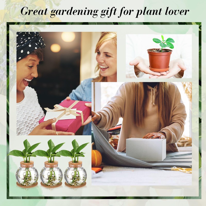 Baderke 2 Packs Propagation Vases for Plants Plastic Plant Propagation