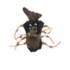 Midlee Scary Spider Costume