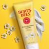 Burt's Bees Face Wash Deep Facial Cleansing Cream College Back-to-School