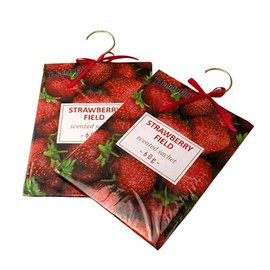 2 Pack Large Hanging Closet Sachet 9" x 6.75" with Metal Hanger and Bow (Strawberry)