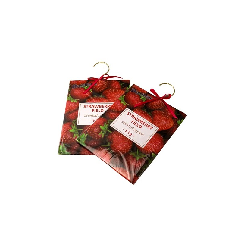 2 Pack Large Hanging Closet Sachet 9" x 6.75" with