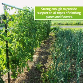 De-Bird Trellis Netting for Climbing Plants - Green, Compact, 15mm Mesh - Garden Vegetable & Flower Support, Easy Install, UV-Treated Nylon