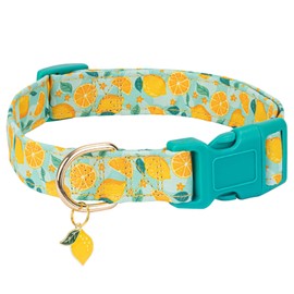 Gelwoo Cute Dog Collar Adjustable and Lightweight for Girl Female Boy Dogs,Soft and Fancy Summer Dog Collar with Lemon Special Design Pet Collar for Small Medium Large Dogs (L, Yellow)