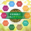 Tabefuku Pumpkin Seeds, Ungrilled, 8.8 oz (250 g), Pumpkin Seeds,