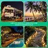 Huquary 50 LED 25ft Tropical Beach Hawaiian Solar String Lights