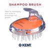 Kent SH1 ORG Scalp Scrubber Hair Brush and Exfoliator for