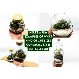 DIY Small Open and Closed Terrarium Kit