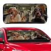 Dachshund Dog Windshield Sunshade for Car SUV Truck Foldable Uv
