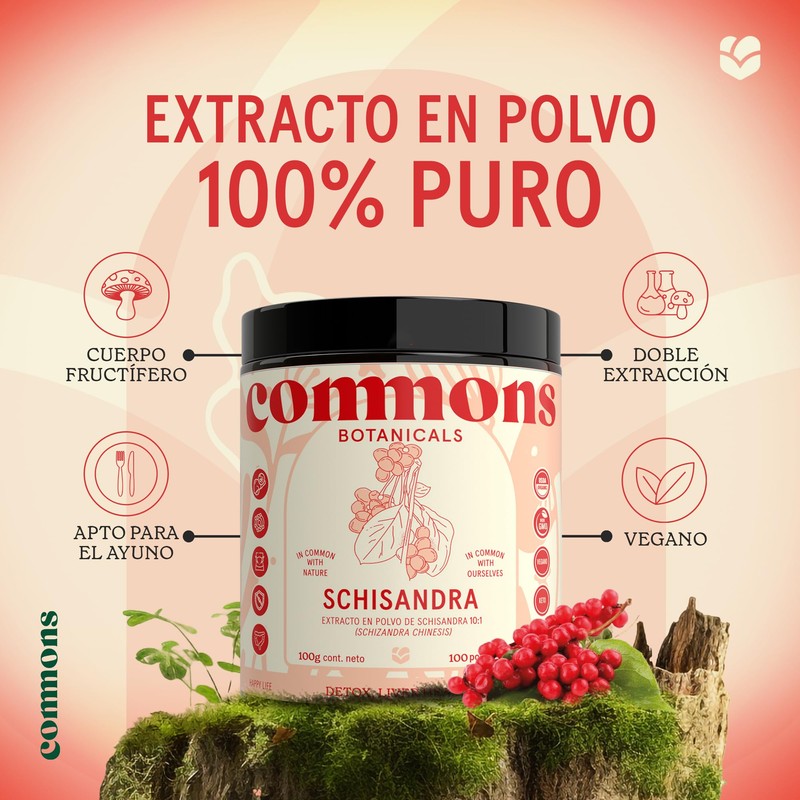 Commons Hongos Adaptógenos - Hongo de Baya Schisandra - Extracto