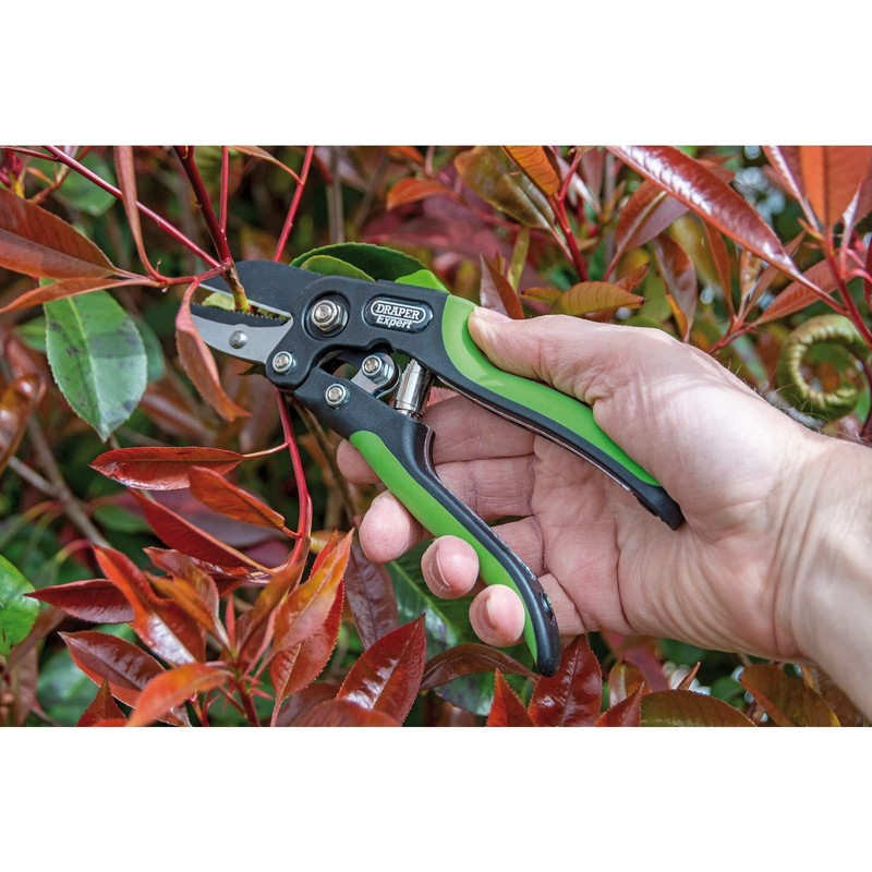 Draper 200mm Anvil Pattern Secateurs | Soft Grip Cutting Gardening
