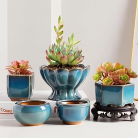 OXART Ceramic Plant Pots, Set of 5 Flower Pots with Drainage Holes, Small Indoor/Outdoor Succulent Pots, Nursery Planting Pot for Home Decor and Office Desk Decoration (Plants Not Included)