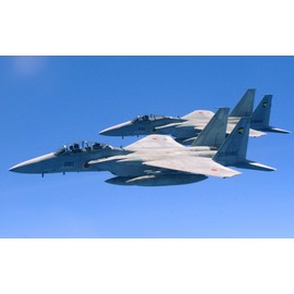 絵画風 壁紙ポスター （はがせるシール式） 航空自衛隊 F-15DJ(複座型) & F-15J(単座型) イーグル 戦闘機 JASDF 空自 ミリタリー キャラクロ JASD-006W2 （ワイド版 603mm×376mm） 建築用壁紙＋耐候性塗料 ＜日本製＞ ウォールステッカー お風呂ポスター