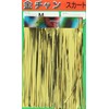 yamasita (Yamashita) kintyansuka-to Medium Gold