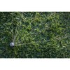 Rain Bird R-VAN14 Rotating Nozzle Sprinkler, Set of 3