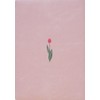 Elcomune Matoka DRWK748 Notebook, Starts from April 2026, B6 Weekly