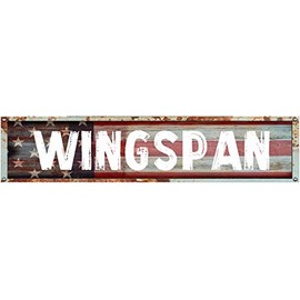 ANY AND ALL GRAPHICS Wingspan 4"x18" American Flag Patriotic Rectangle Weathered Rustic Rusty Painted Look Novelty décor Composite Aluminum Beach Cottage Sign.