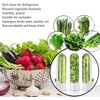Herb Keeper Preserver,Refrigerator Herb Storage Container Herb Savor Preserver Cilantro
