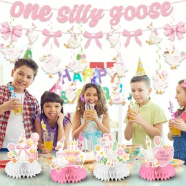 17pcs Silly Goose Birthday Decorations Set Include Banner, Hanging Swirls, Honeycomb Centerpieces for Pink One Silly Goose Birthday Decor Girl Photo Party Supplies