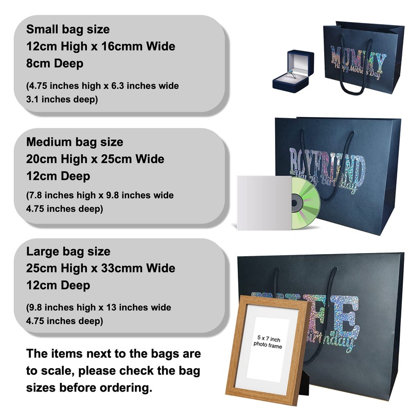 Valentines Day Gift Bags - Medium Valentines Day Fiancee Bag
