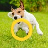 Moonlove Dog Toy Fitness Floating Water Ring Dog Training Bite