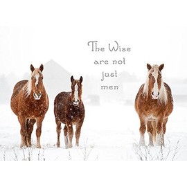 The Wise are not just Men Belgian Horse Christmas Cards