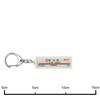 Tobu sukaituri-rain Tobu "谷塚" Key Holder Train Goods