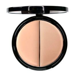 EVE PEARL 4 Pcs Conceal Brighten And Enhance Your Face Dual Salmon Concealer Brush Blush Lip Gloss Set Make Up Kit (Light)